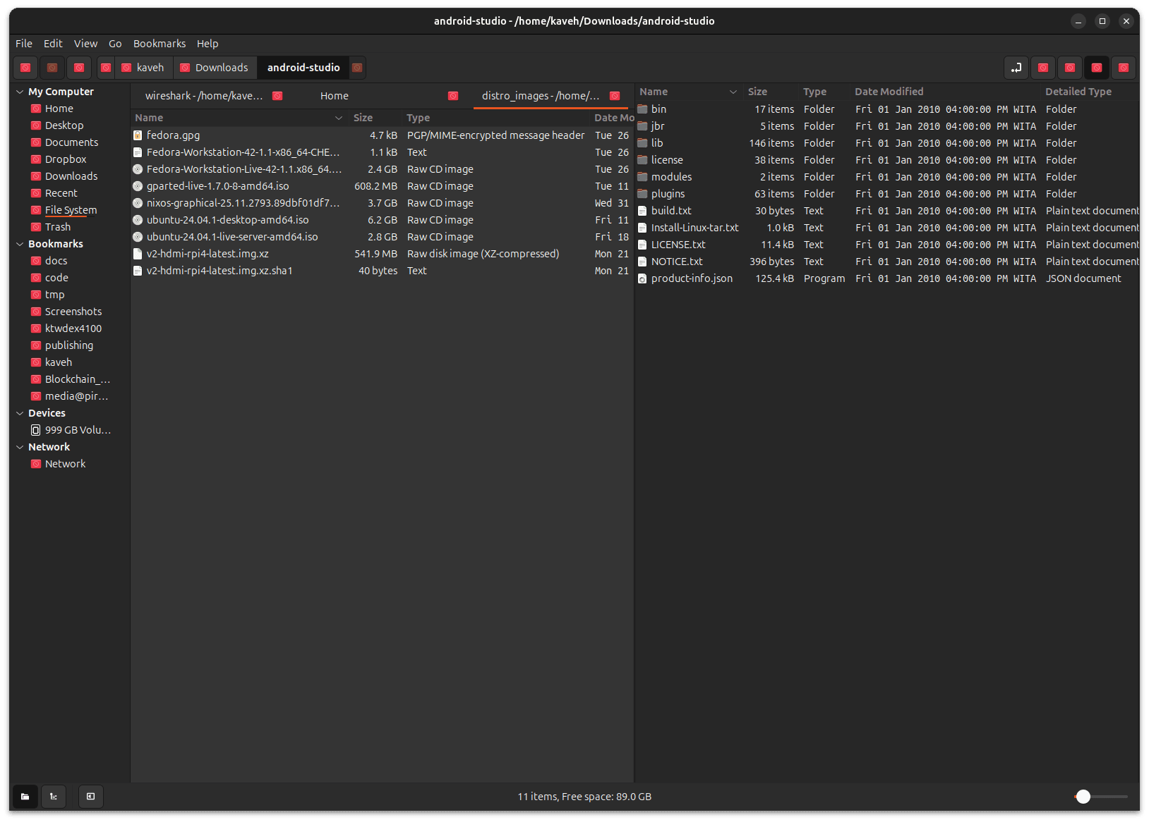 Nemo file manager showing persistent tabs feature after the contributed PR