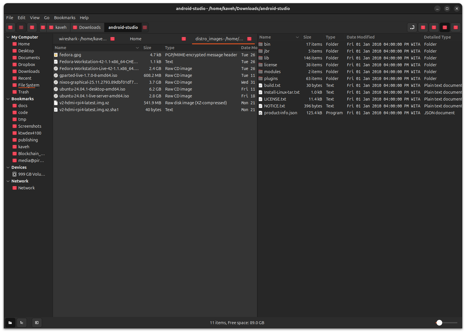 Nemo file manager showing persistent tabs feature after the contributed PR